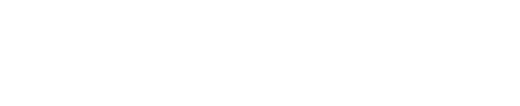 Steinbeis-IAS